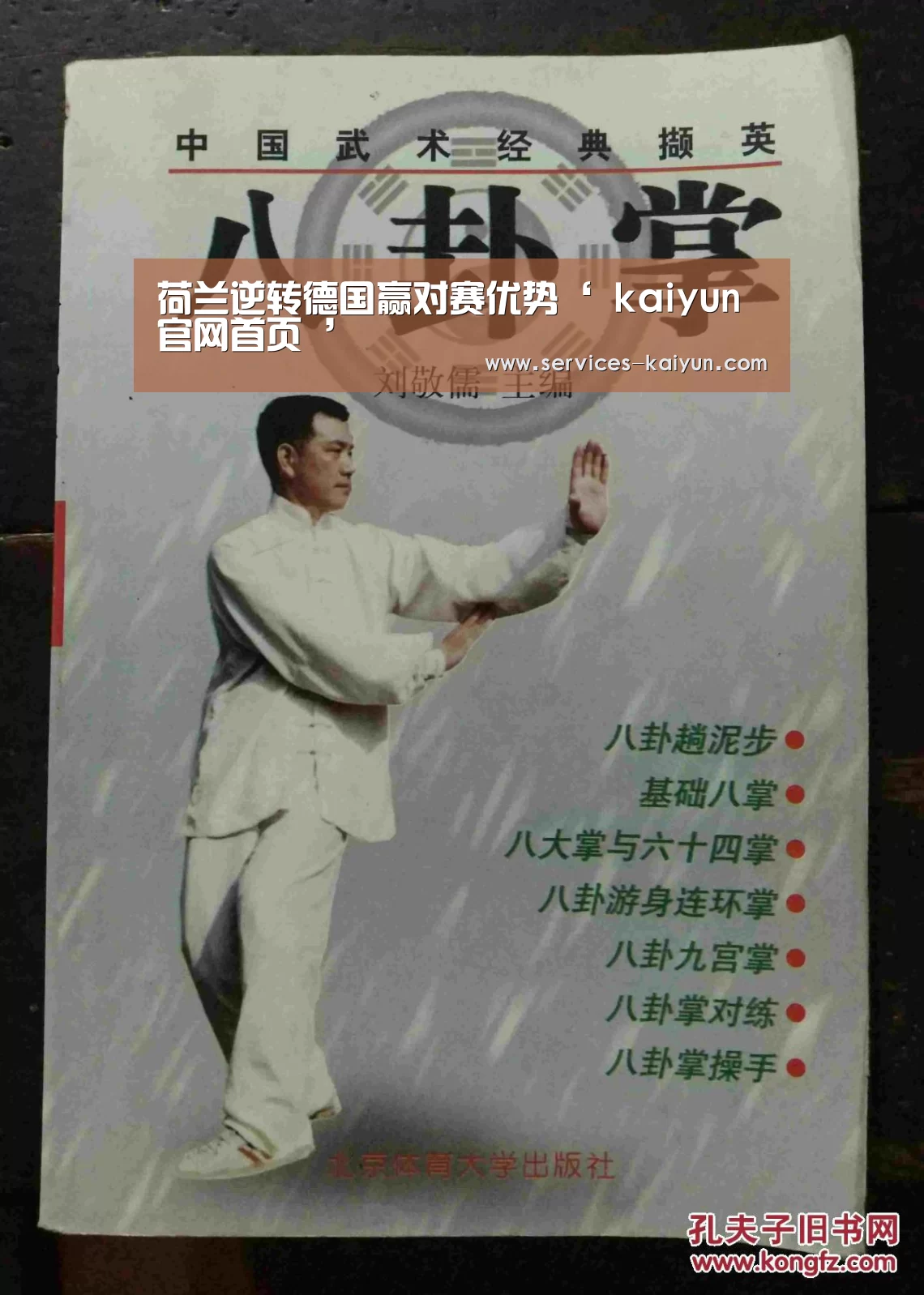 荷兰逆转德国赢对赛优势‘ kaiyun官网首页 ’(图4) 开云